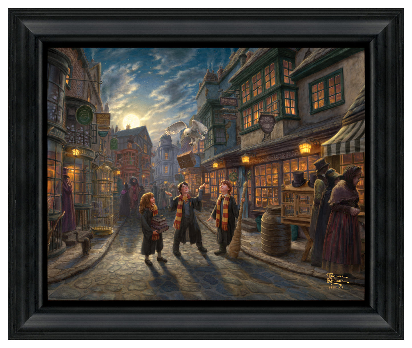 Harry Potter™ Diagon Alley™  - 19.5" x 23.5" Brushstroke Vignette (Satin Black Frame)