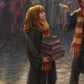 Harry Potter™ Diagon Alley™ - Limited Edition Canvas (PP - Publisher Proof) - 28" x 37"