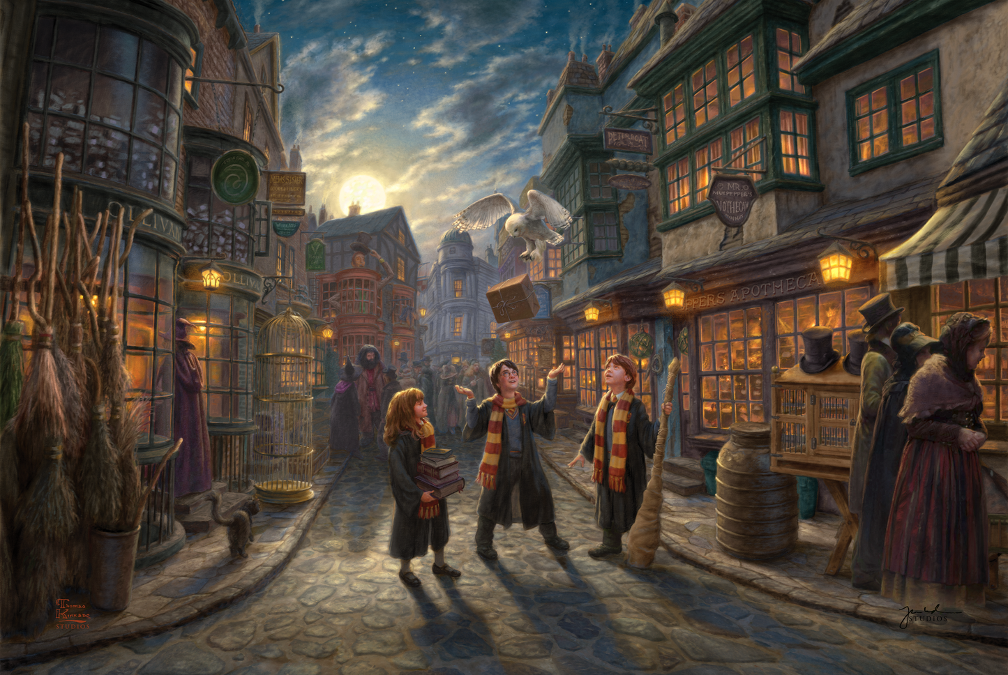 Harry Potter™ Diagon Alley™ - Limited Edition Canvas (PP - Publisher Proof) - 28" x 37"