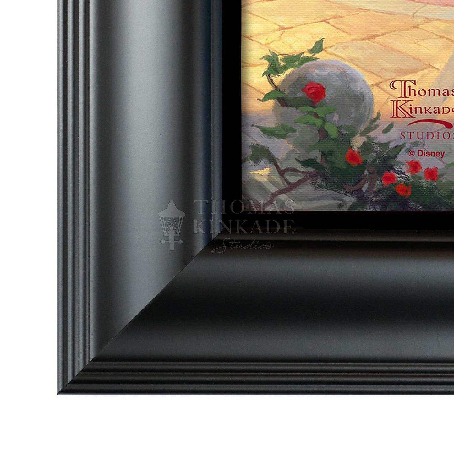 Sleeping Beauty Dancing in the Enchanted Light - 19.5" x 23.5" Disney Vignette (Satin Black Frame)