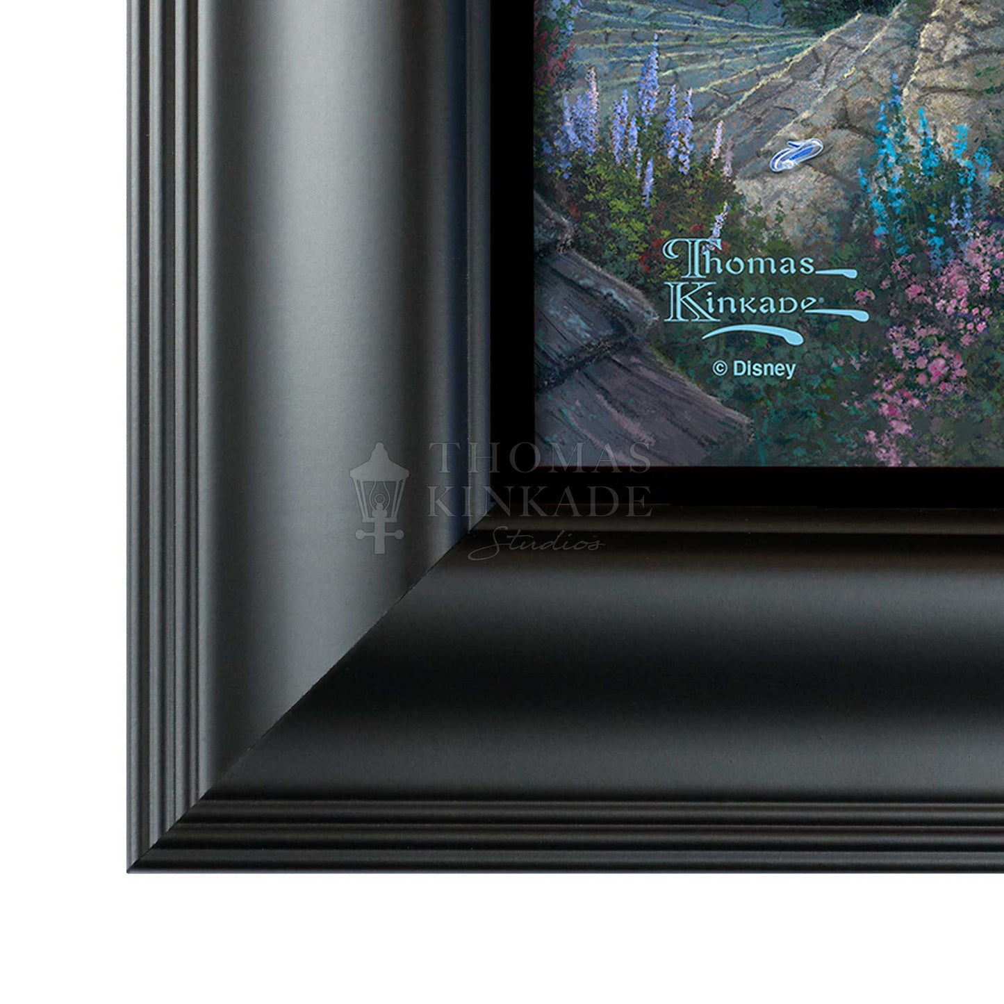 Cinderella Wishes Upon a Dream - 19.5" x 23.5" Disney Vignette (Satin Black Frame)